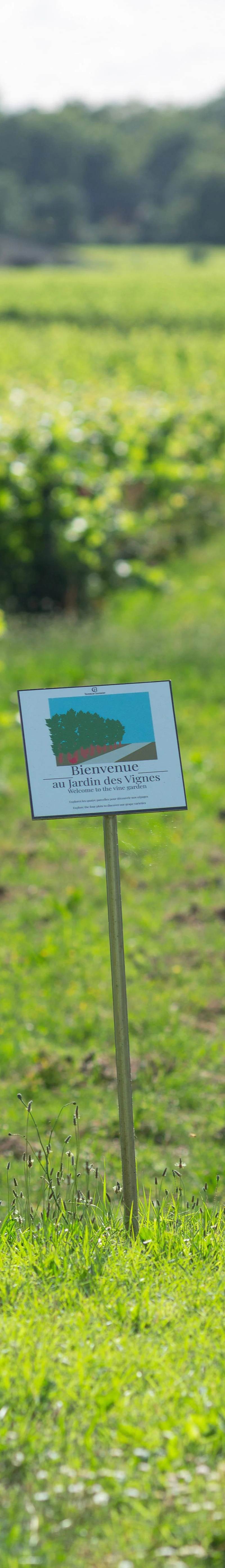 Photo — Château Haut-Chaigneau
