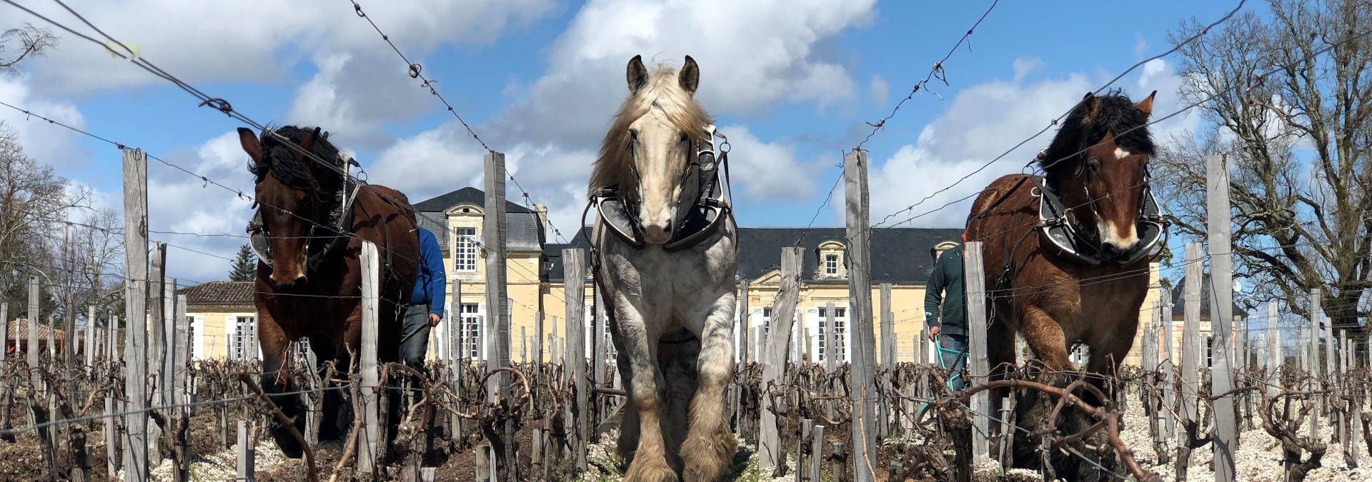 Château de Rouillac — photo 4