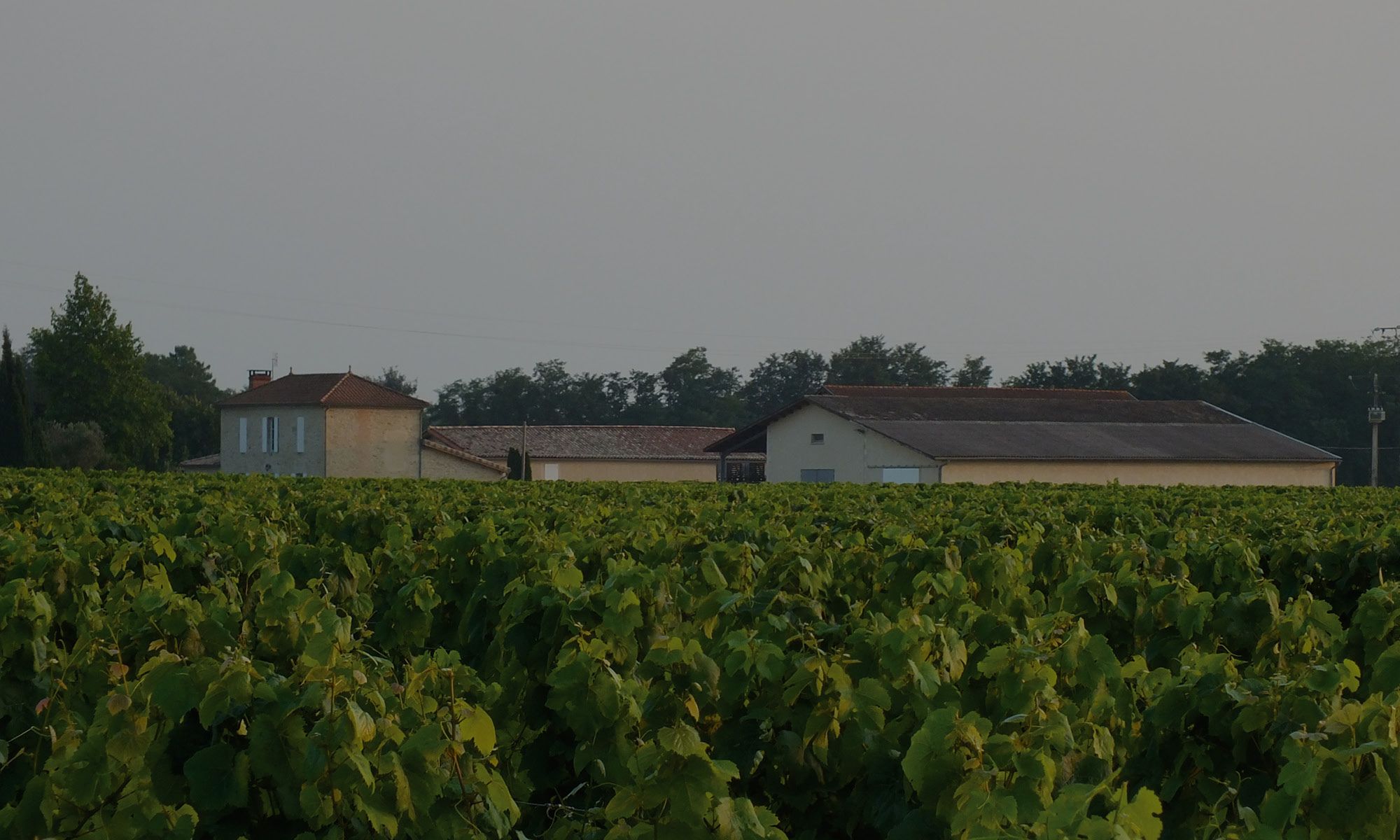 Château les Clauzots — photo 8