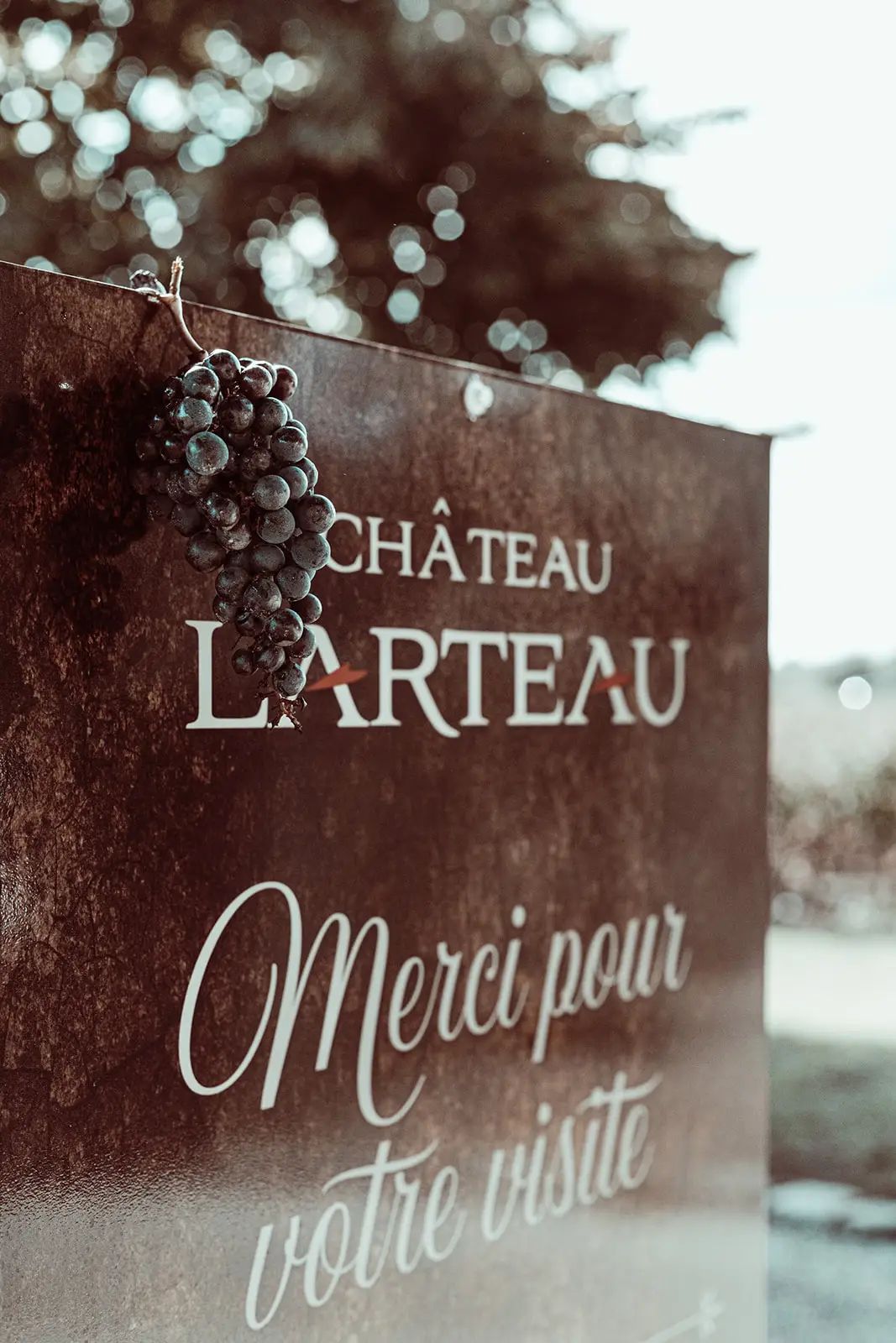 Château Larteau — photo 2