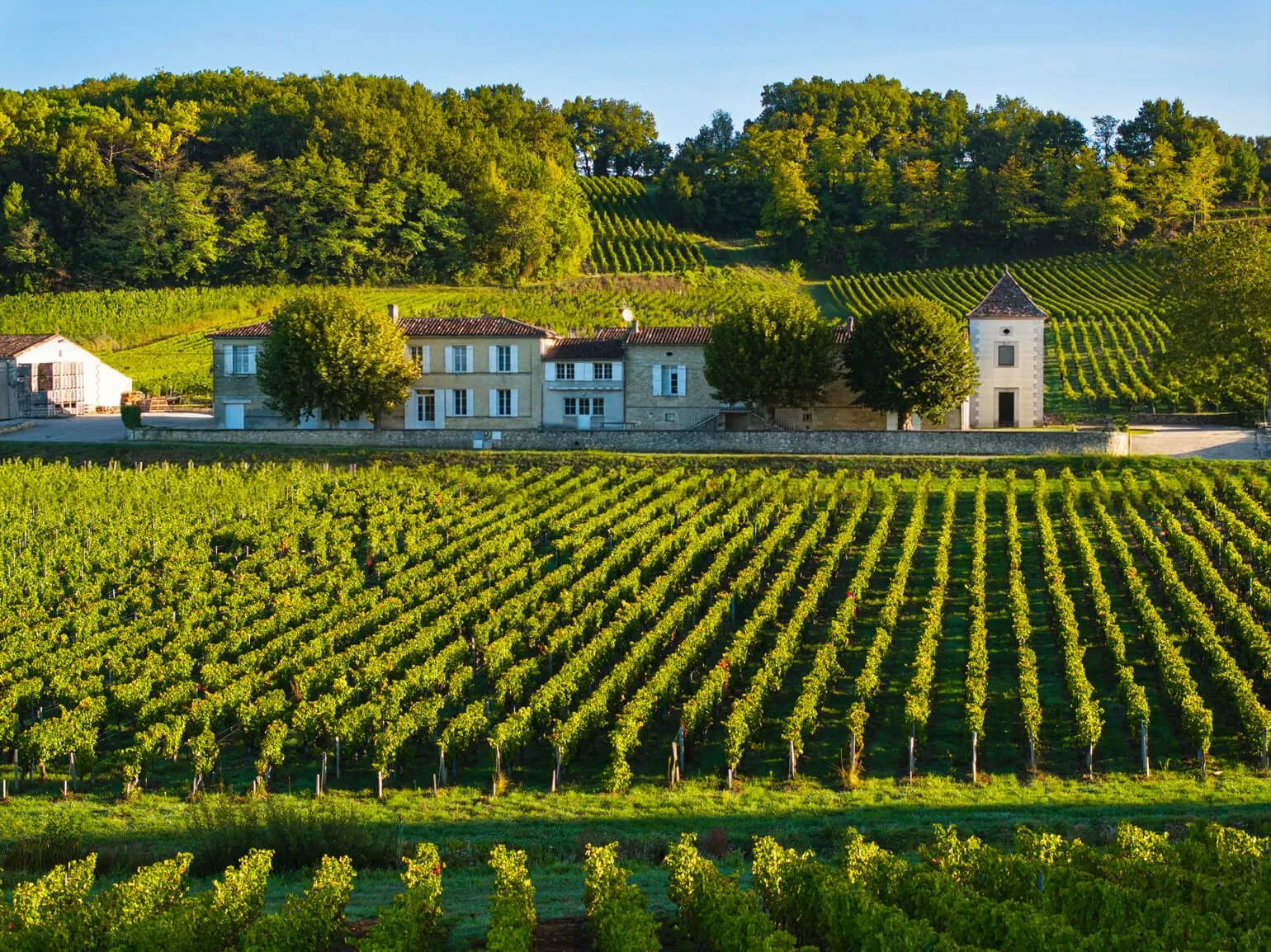 Maison Claret estate building surrounded by vineyards