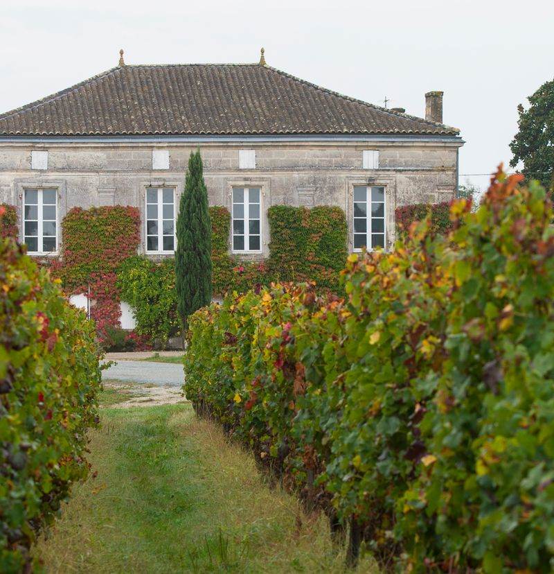 Château Fougas - Côtes de Bourg