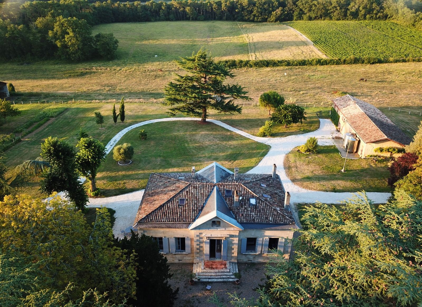 Château Languissan — photo 2