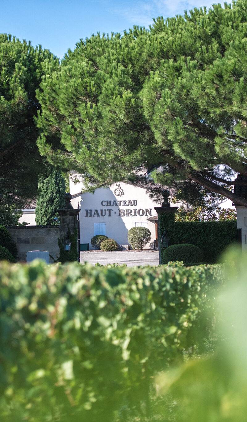 Château la Tour Haut-Brion - Graves