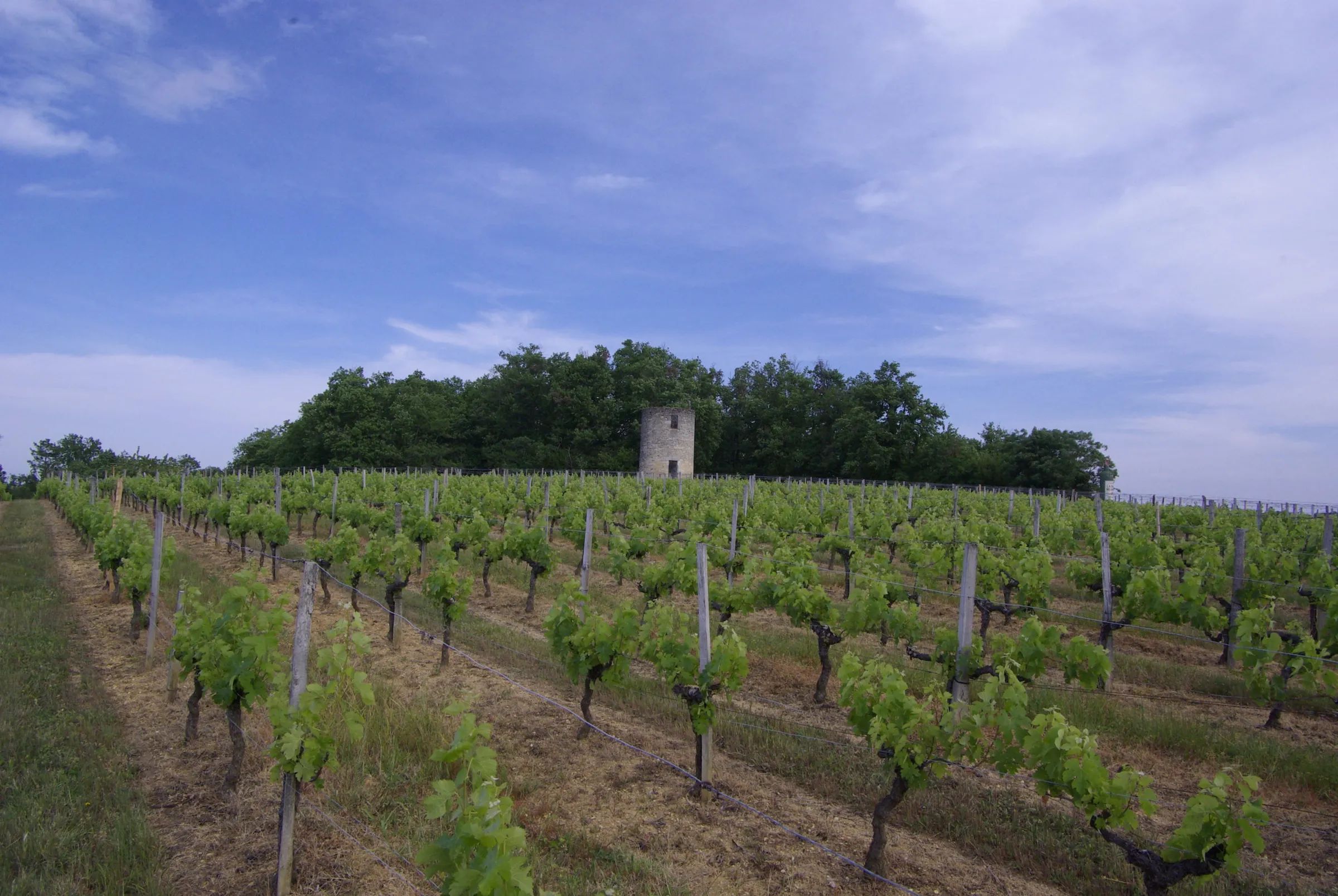 Photo — Château Tour Birol