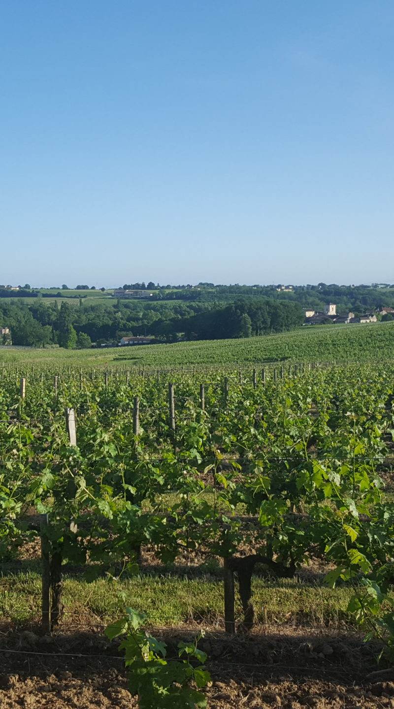 Château Tour Birol