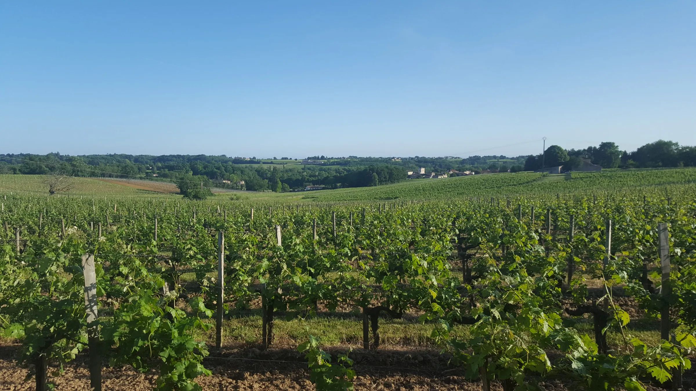Photo — Château Tour Birol