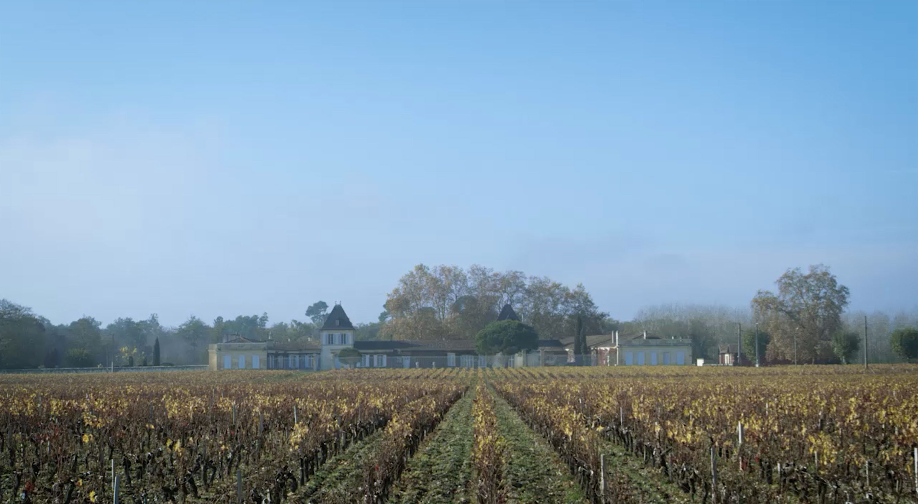 Château Paveil de Luze - Margaux