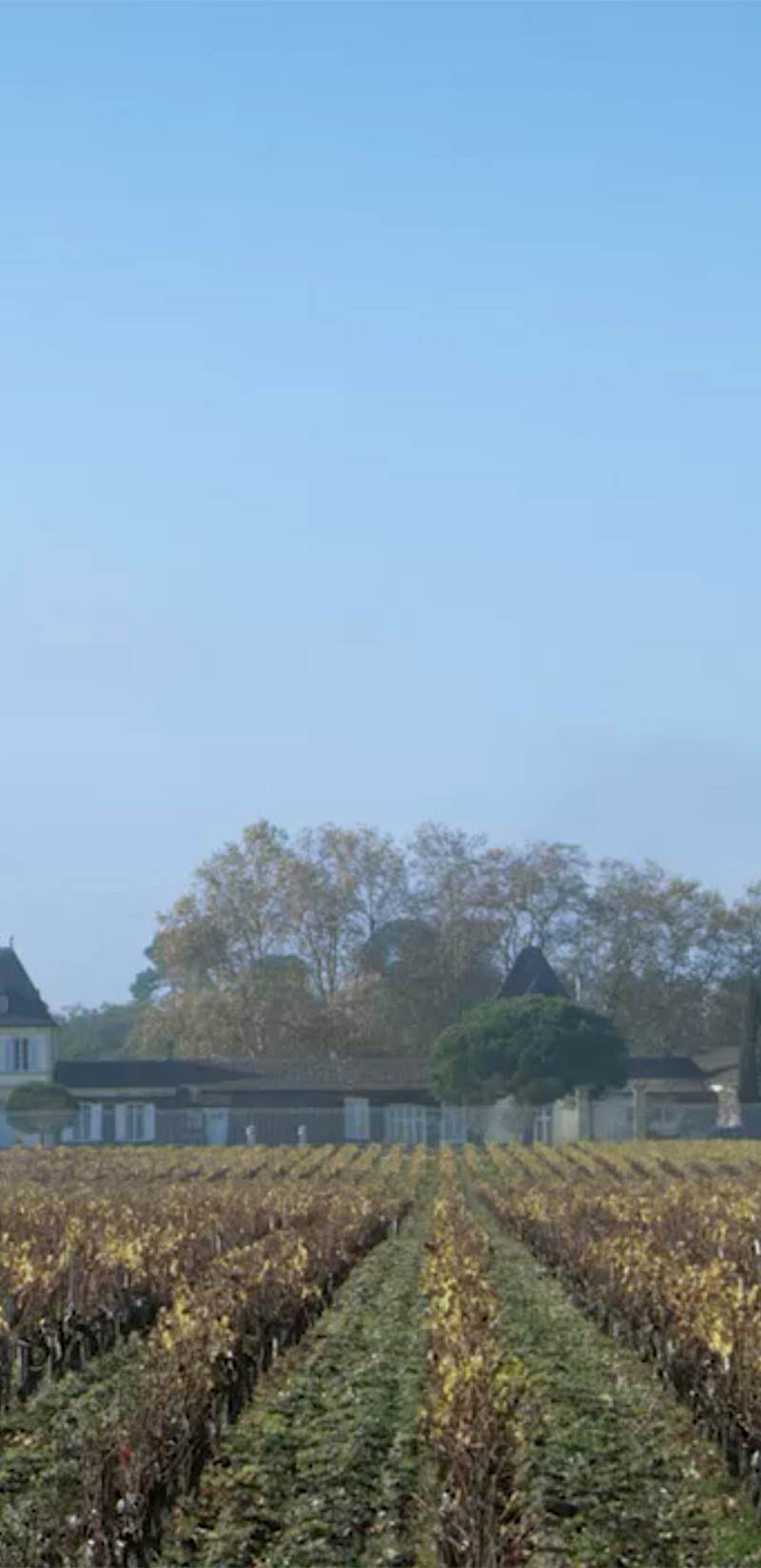 Château Paveil de Luze — photo principale