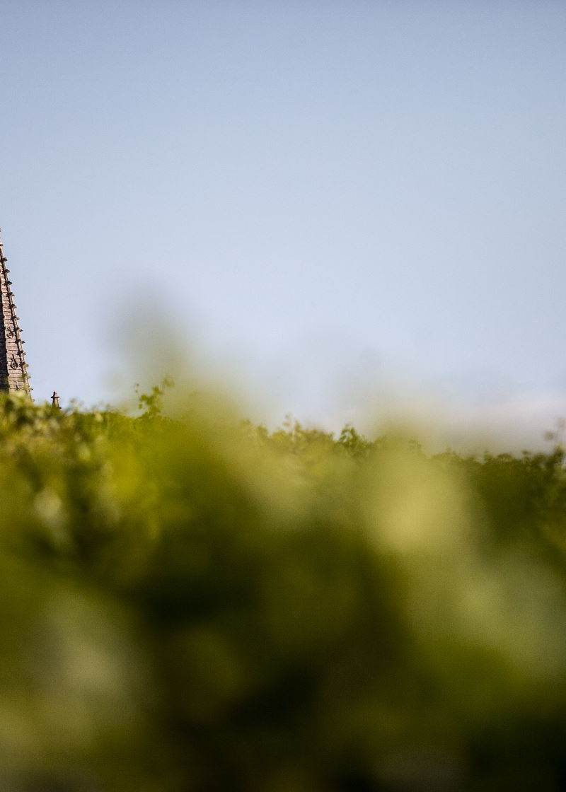 Château Ausone — photo principale