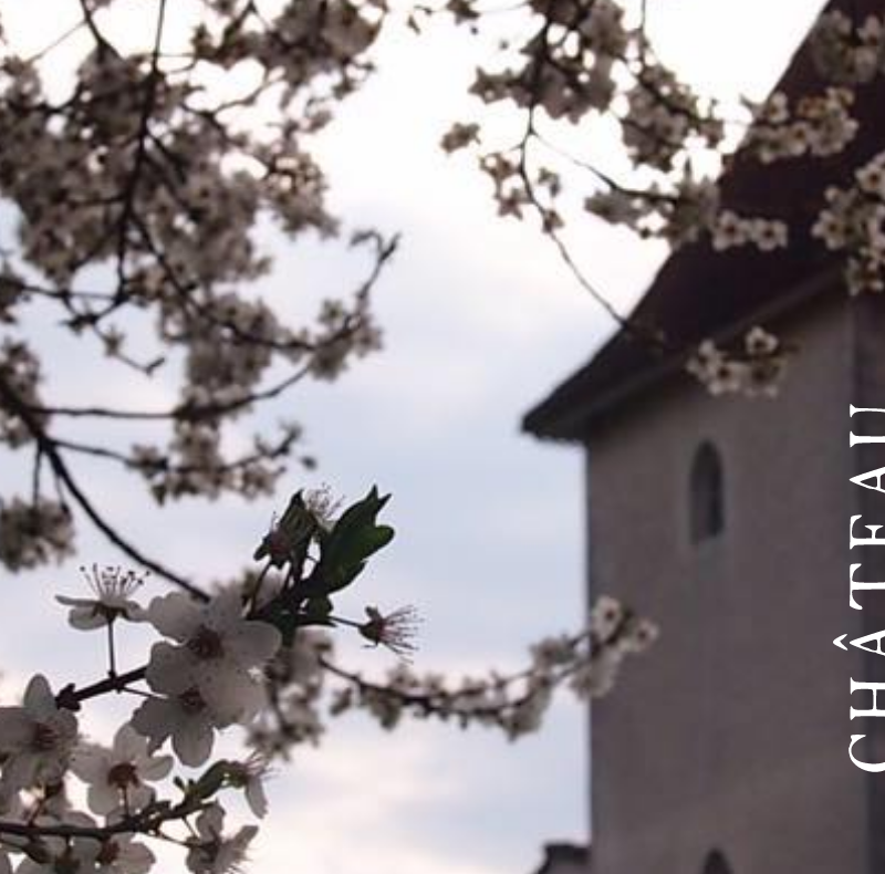 Château la Rose Sarron — photo principale