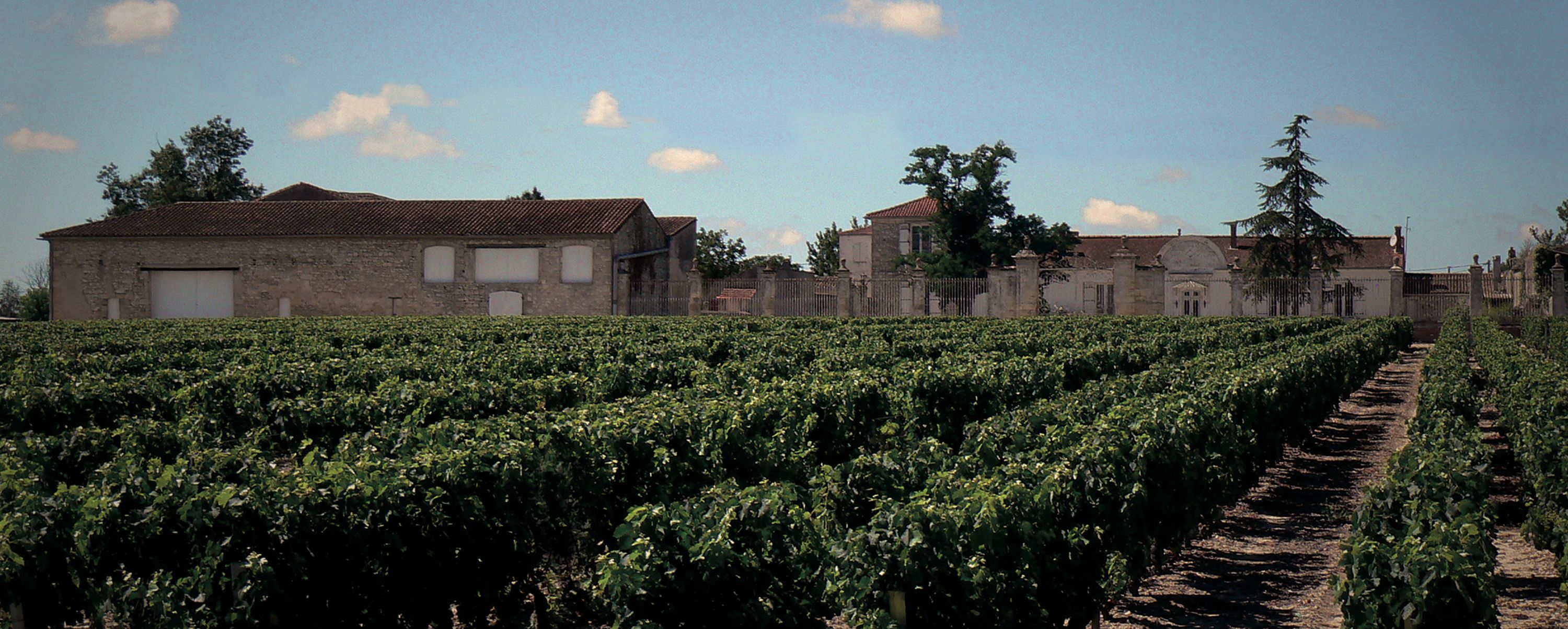 Château Saint-Aubin — photo 10