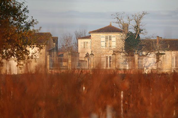 Château Saint-Aubin - Médoc