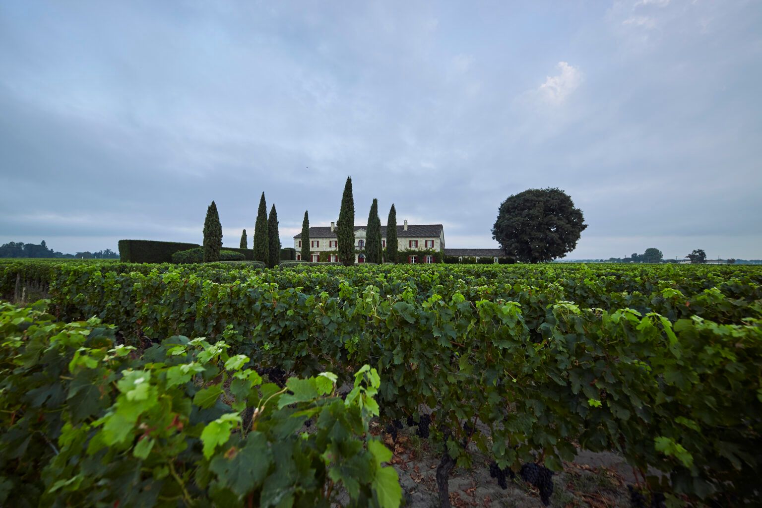 Château Pomeaux - Pomerol