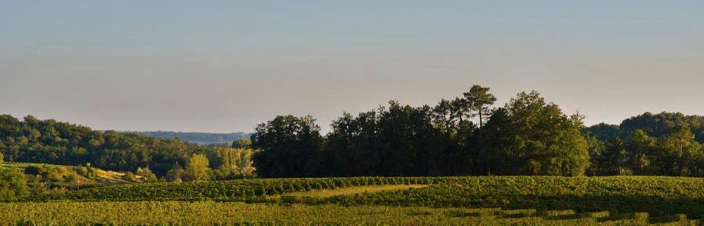 Château Petit Fombrauge — photo 1