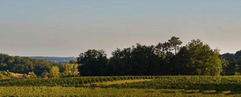 Château Petit Fombrauge — photo principale