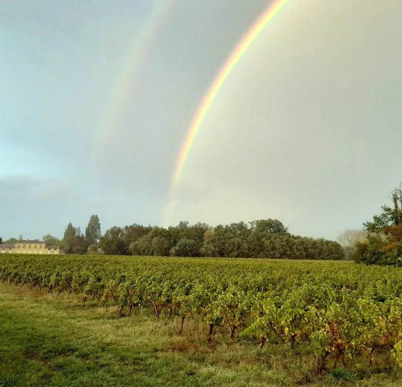 Château la Croix de Pawlowski — photo principale