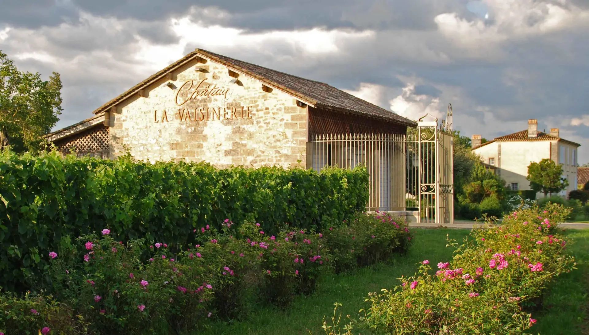 Château la Vaisinerie - Puisseguin-Saint-Émilion