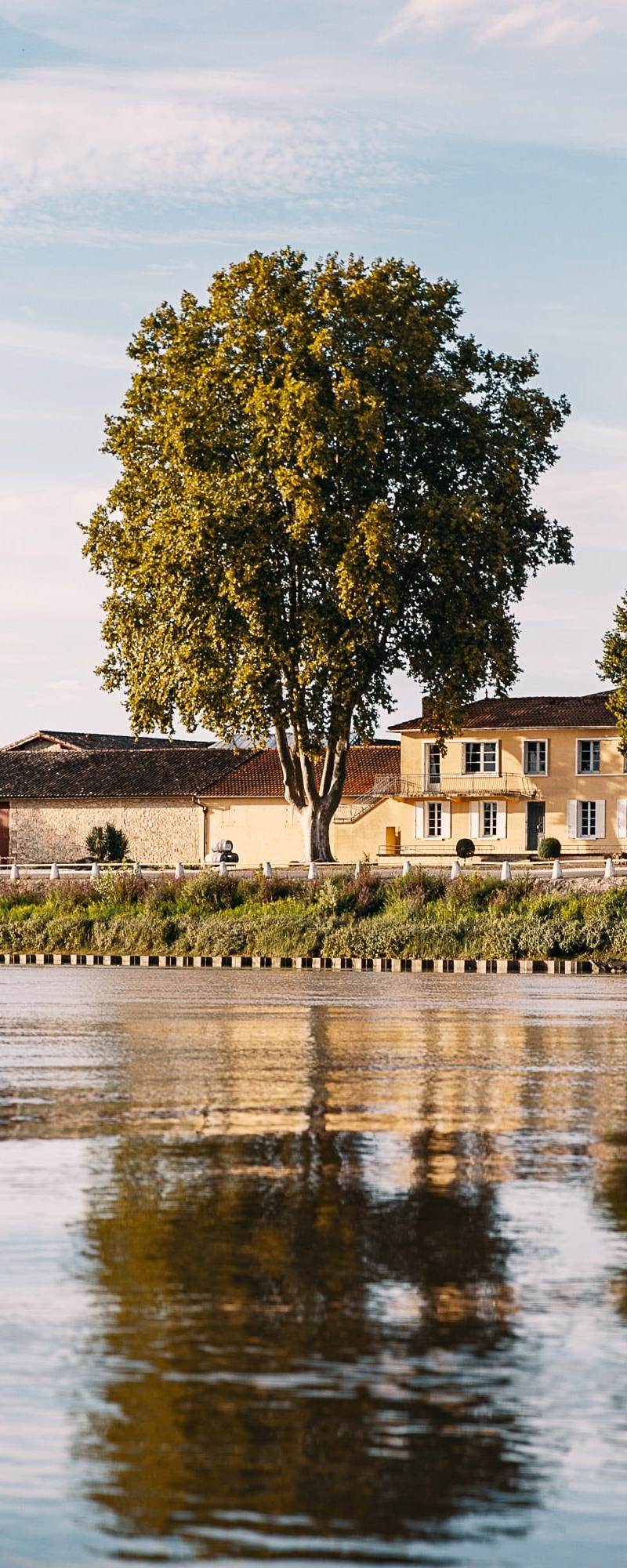 Château Franc le Maine - Saint-Émilion Grand Cru