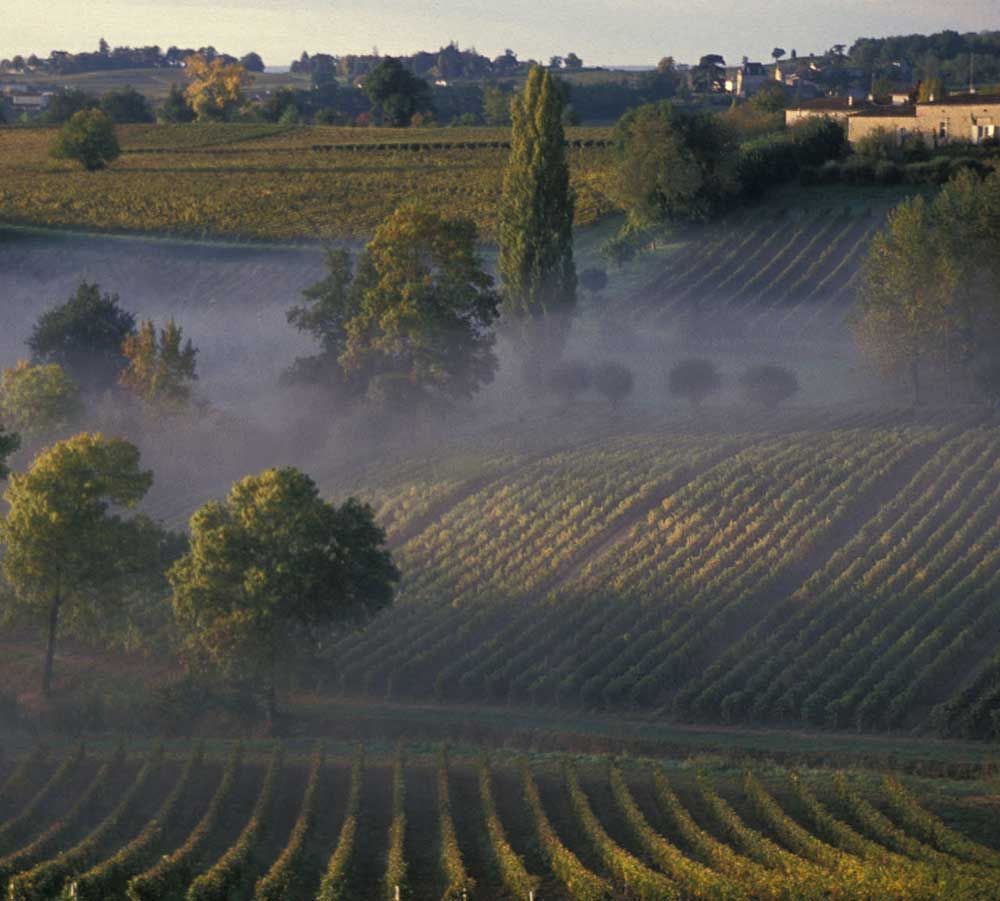 Château la Carelle