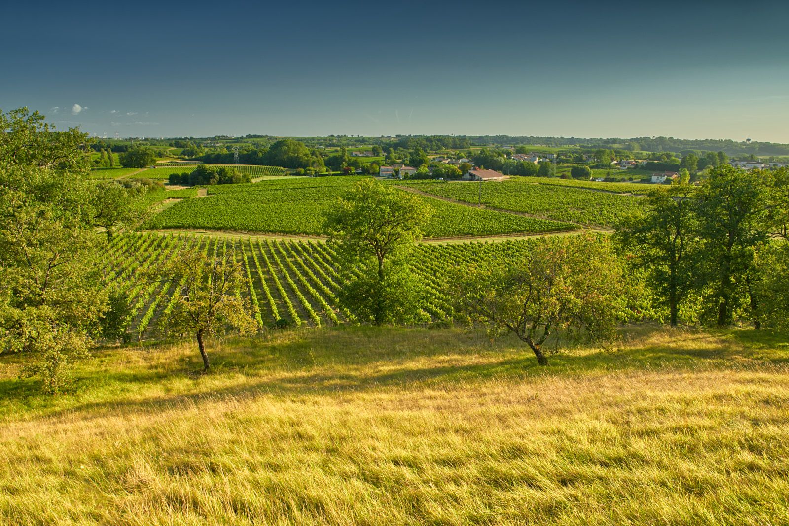 Château Puybarbe - Côtes de Bourg