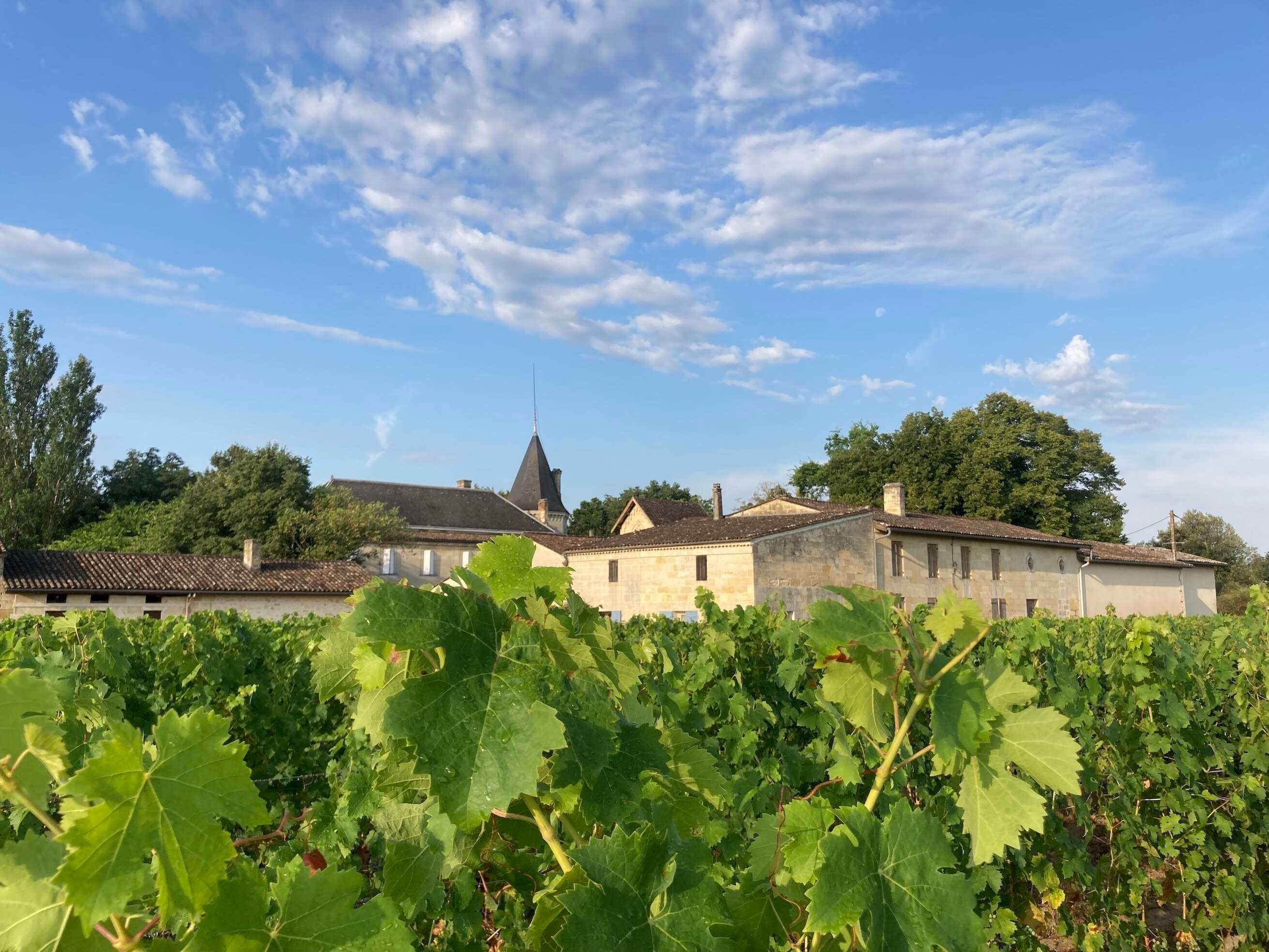 Château Gueyrosse — photo 8