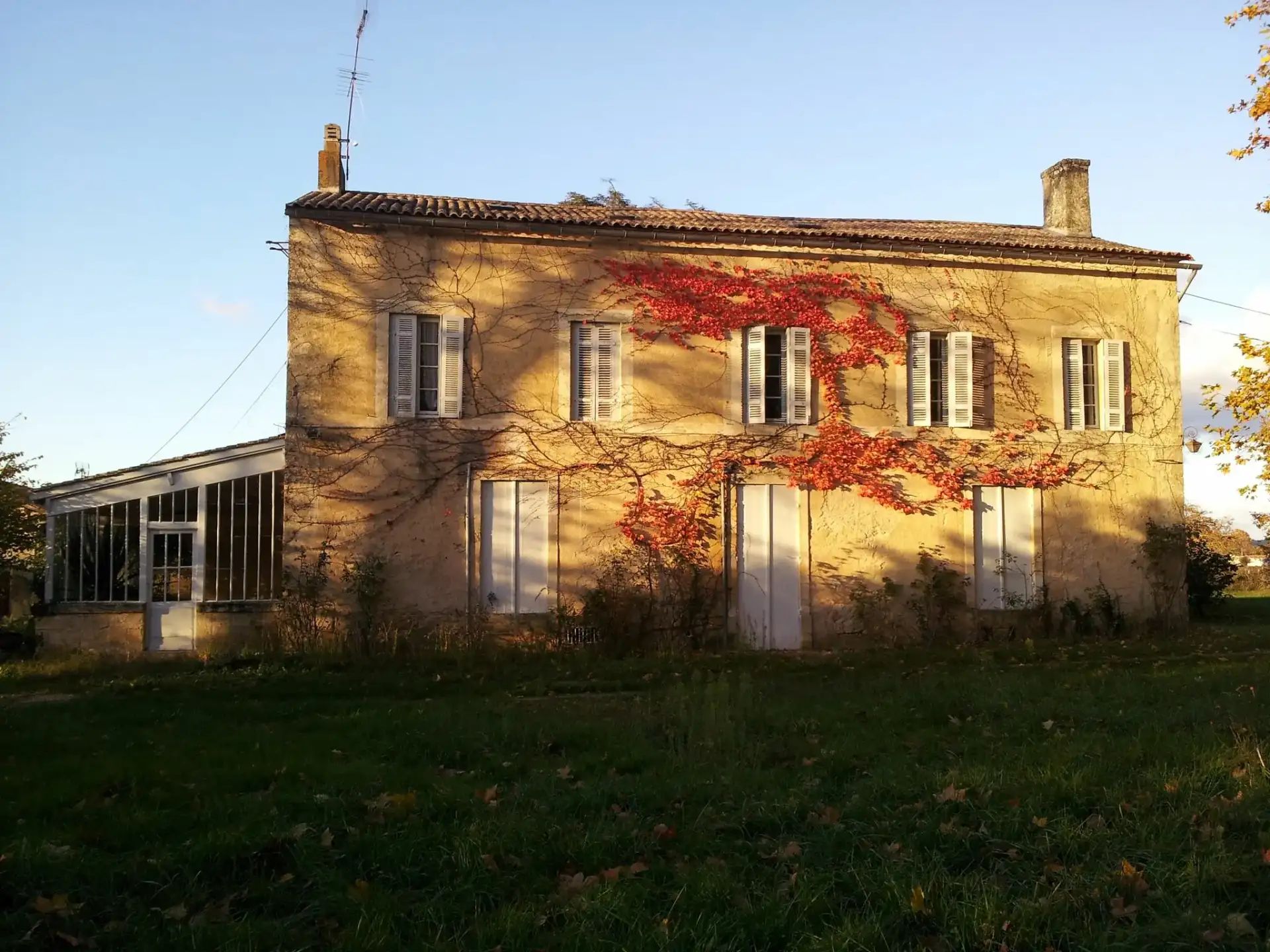 Château Haut-Pommarède - Graves
