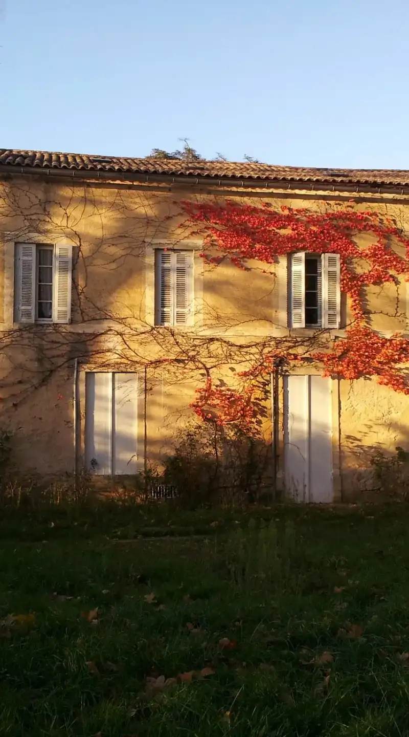 facade et verriere