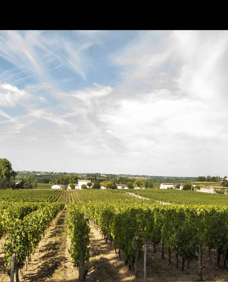 Pomerol & Saint-Emilion