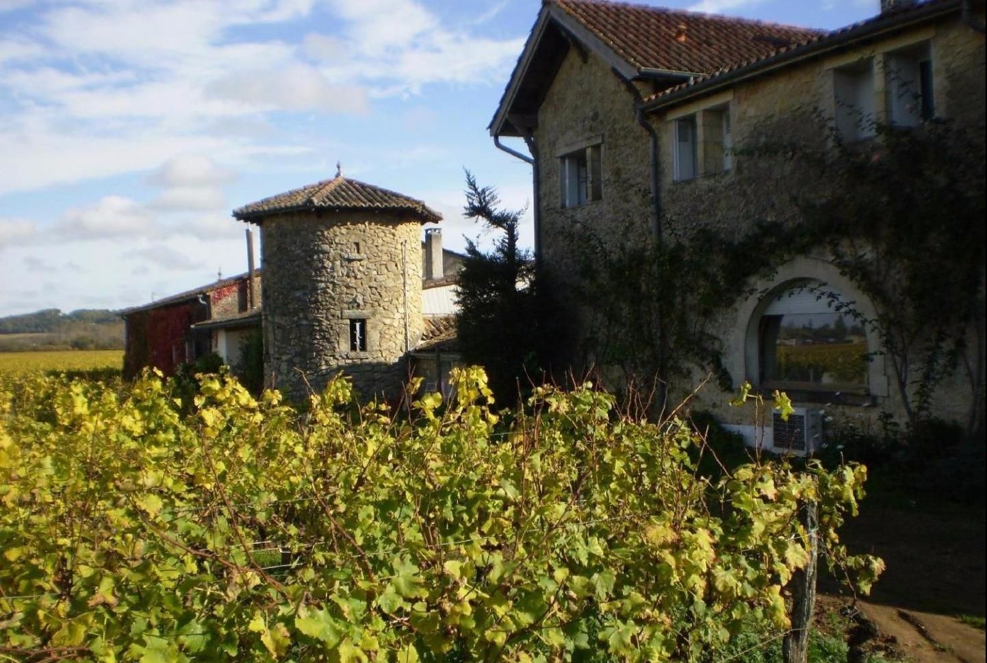Visite et dégustation de vins Bordeaux