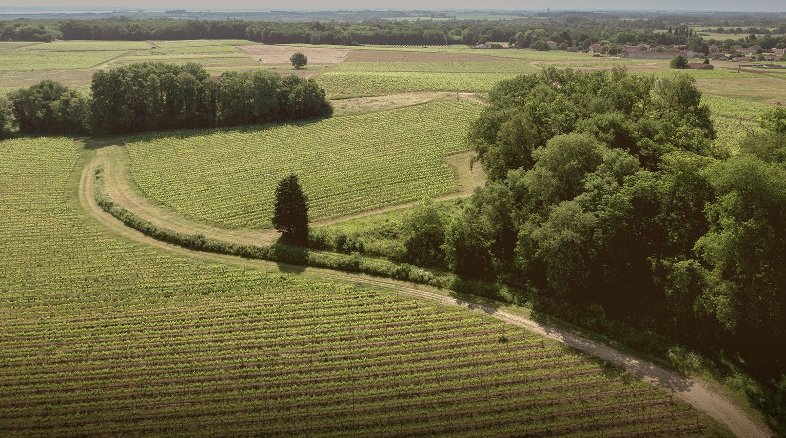Château Saint Bonnet - Entre-deux-Mers