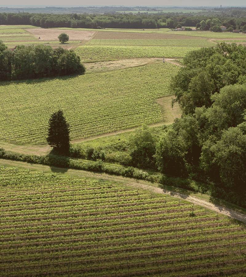 Château Saint Bonnet — photo principale