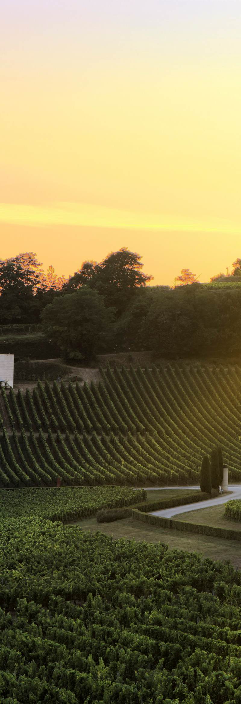 Château Faugères