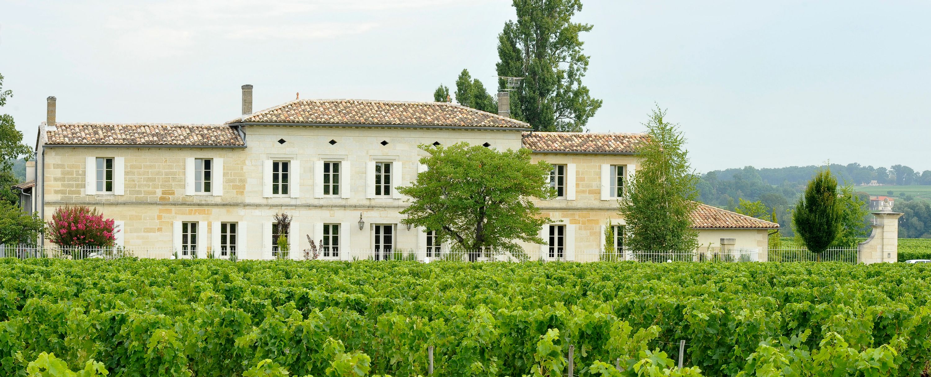 Château Grand Corbin-Despagne - Castillon Côtes de Bordeaux