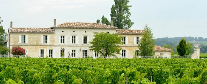 Château Grand Corbin-Despagne - Castillon Côtes de Bordeaux