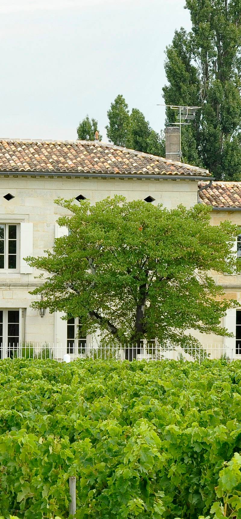 Château Grand Corbin-Despagne