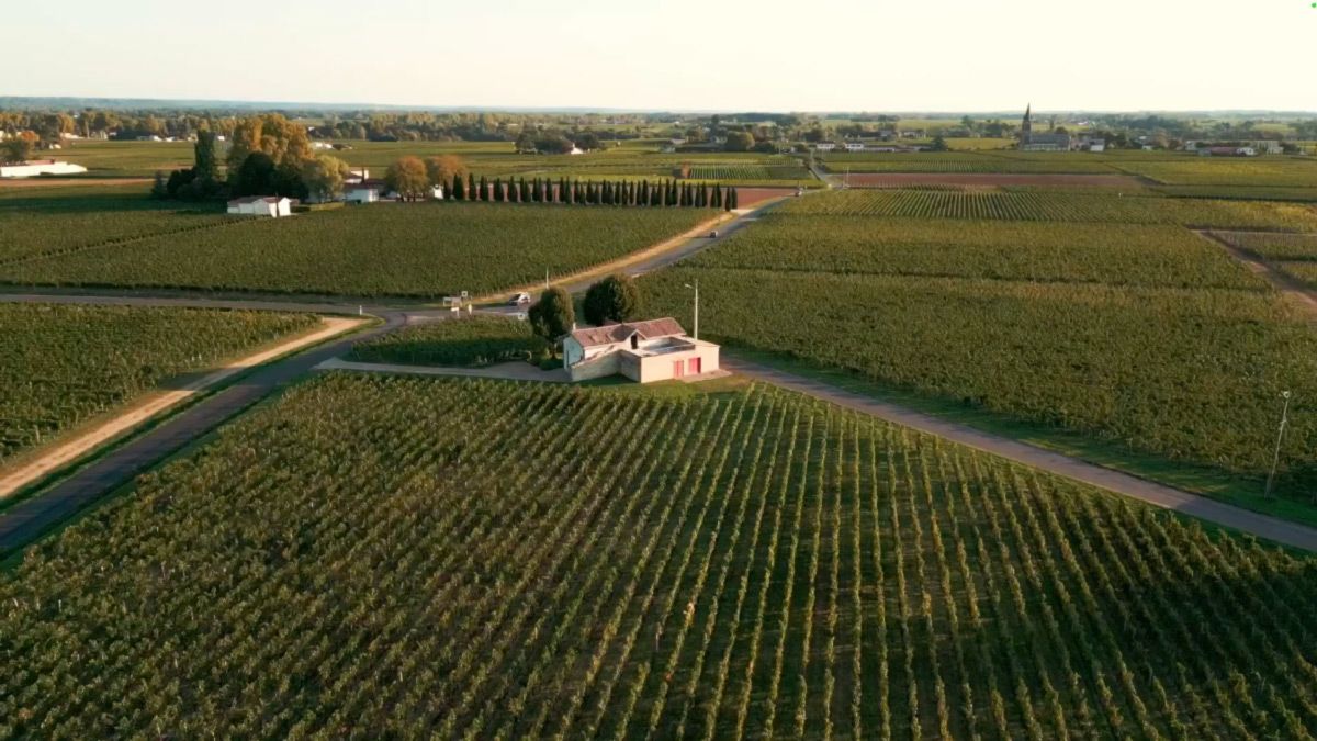 Château La Fleur de Gay