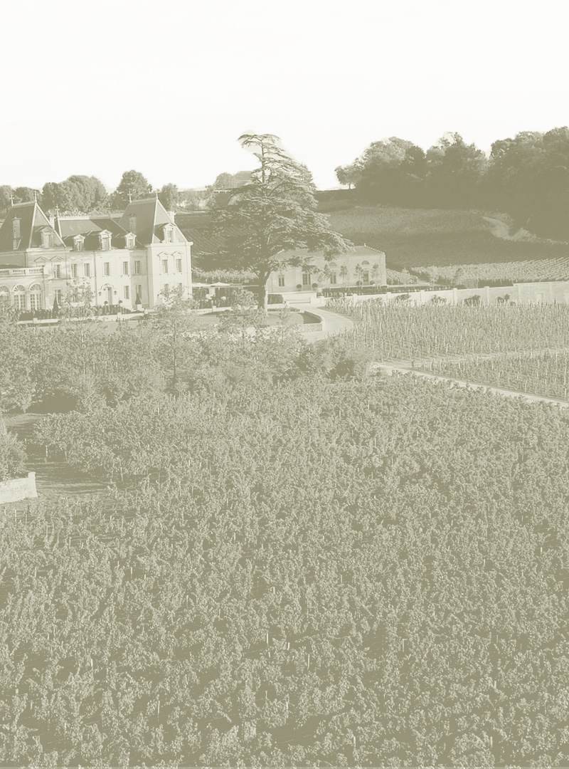 Château Fonplégade — photo principale