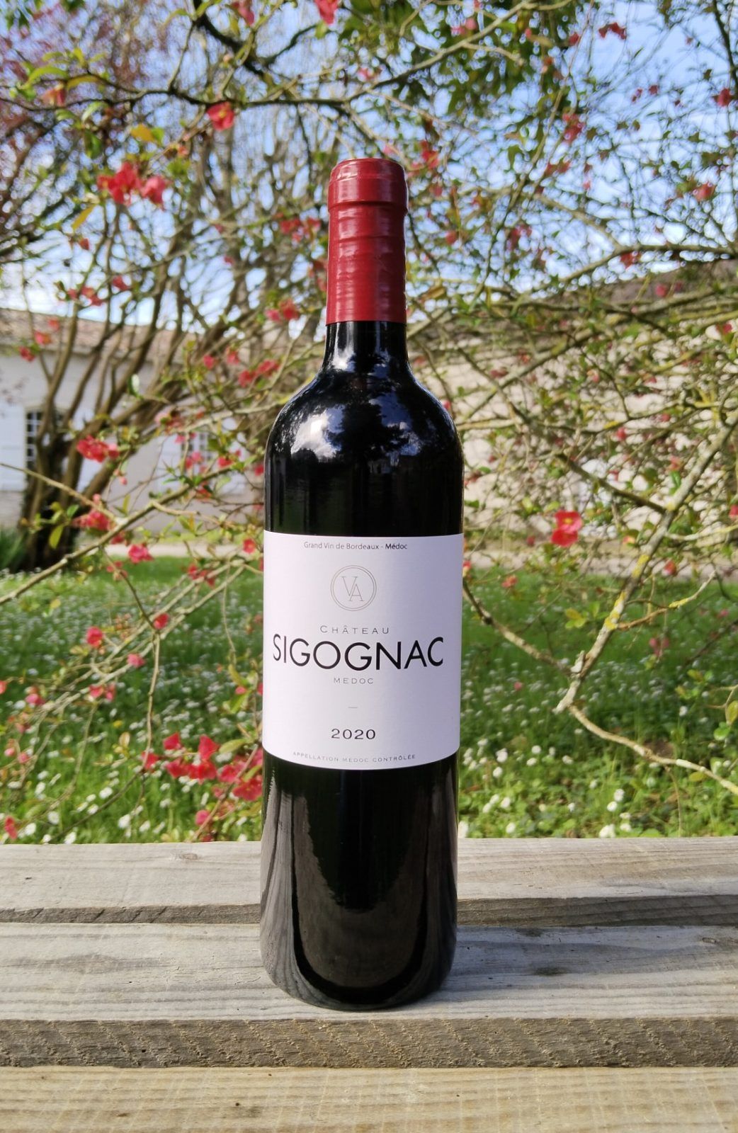 Château Sigognac — photo 2