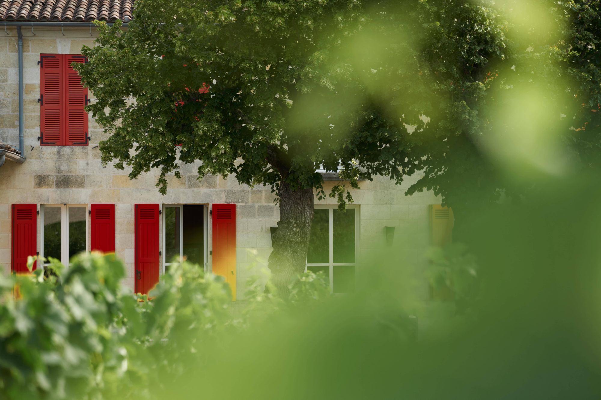 Château Feytit-Clinet - Pomerol