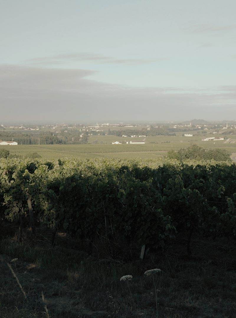 Château Châteaux G. Arpin — photo principale