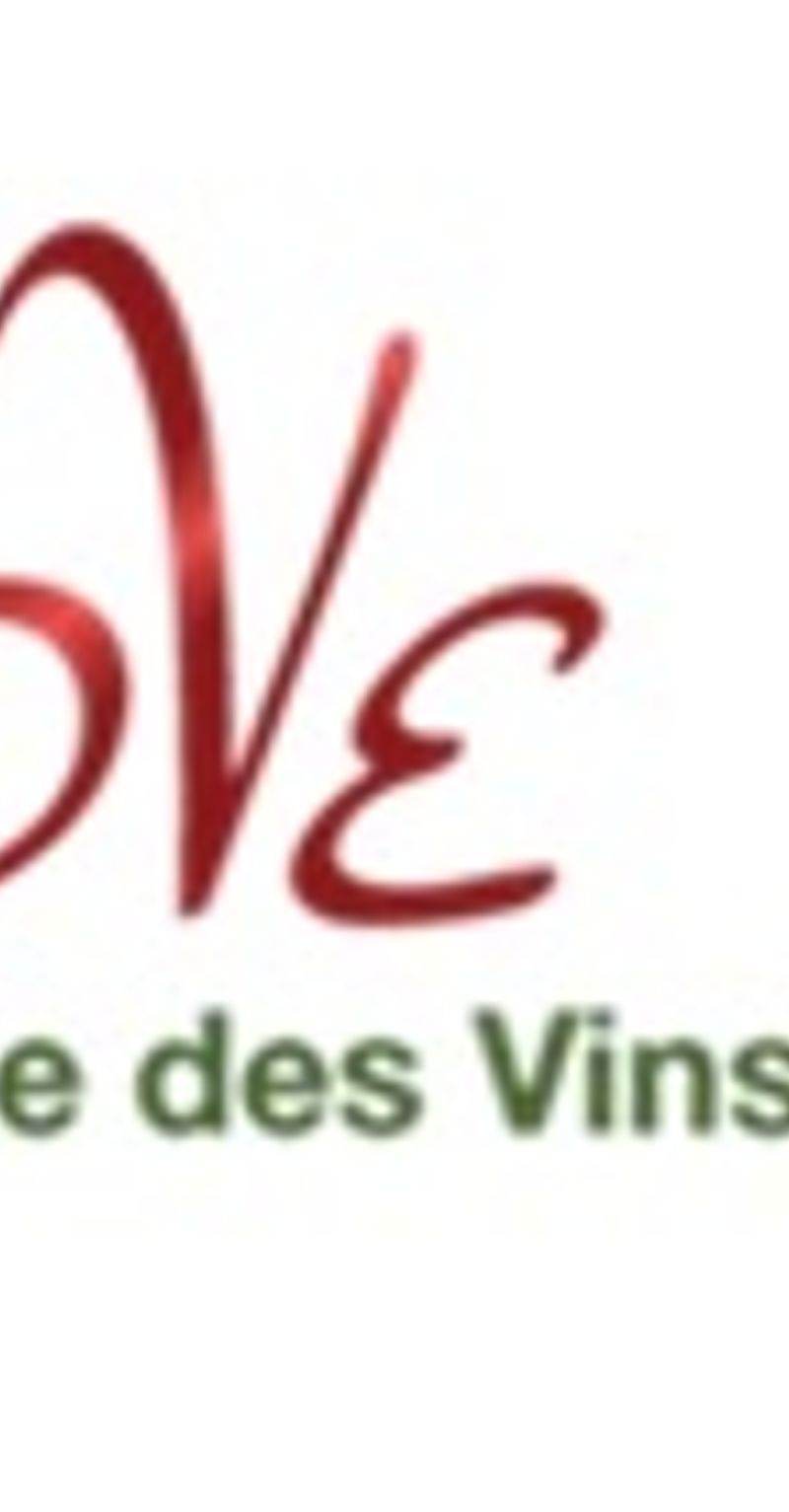 Château le Bourdieu (Vertheuil) — photo principale