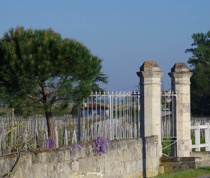 Château Tournefeuille — photo principale