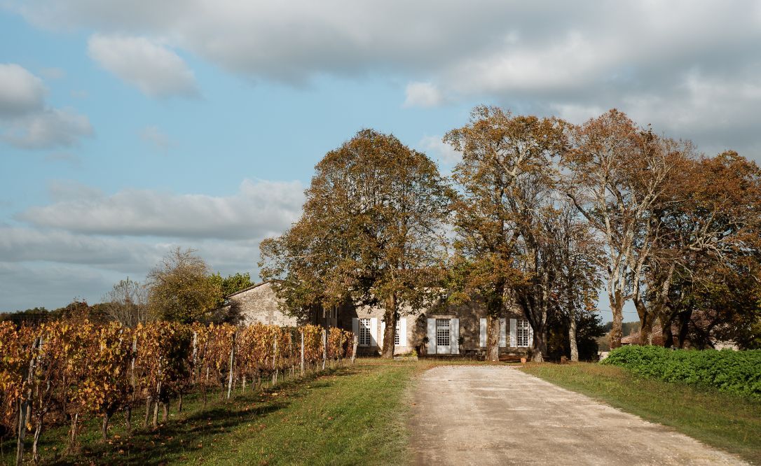 Château Teyssier — photo 7
