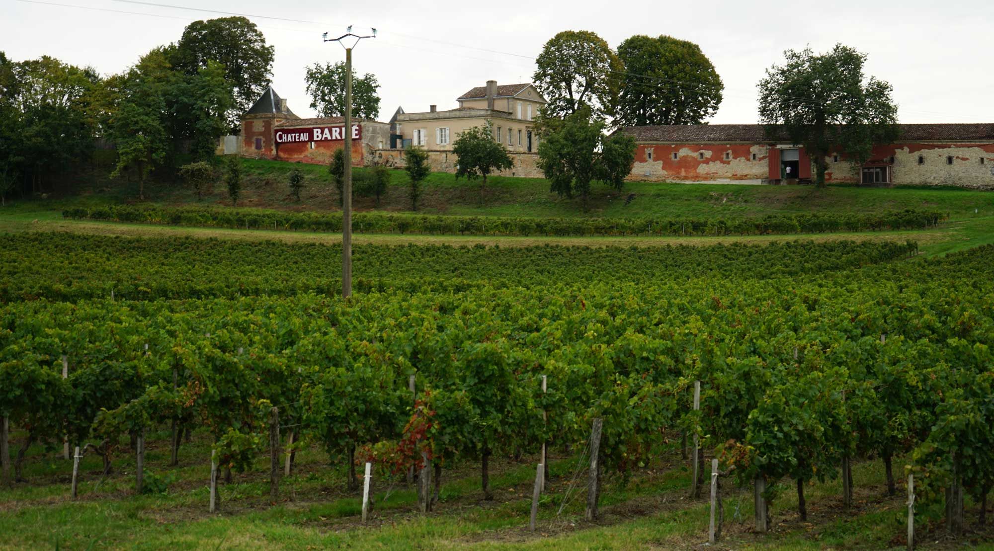 Château Barbé - Côtes de Bourg