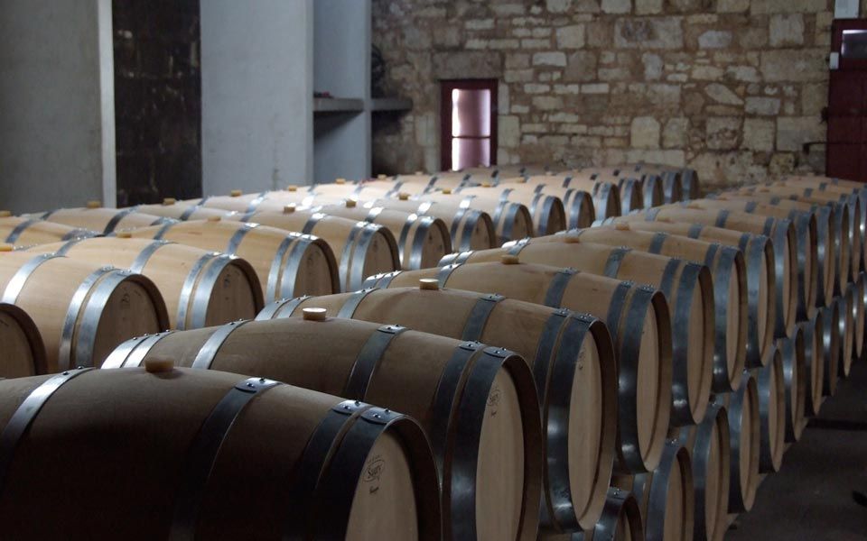 Vignoble et vinification