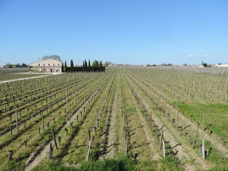 Château Toulifaut - Pomerol