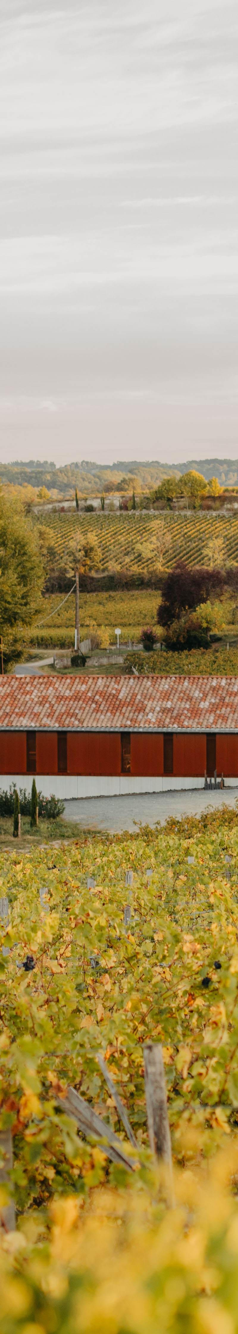 Château Rol Valentin