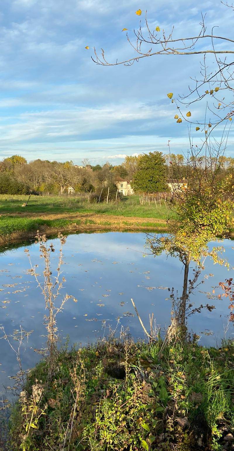 Château Camponac — photo principale