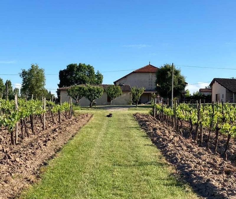 Château Vilatte — photo principale